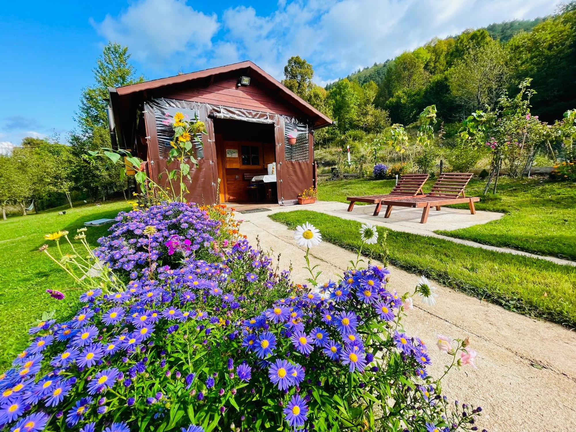 Cottage La Sierra With Jacuzzi Korenica Exterior foto